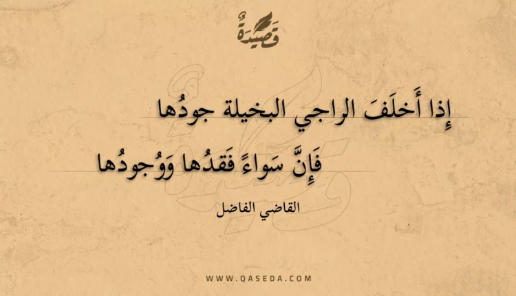 قصيدة إذا أخلف الراجي البخيلة جودها