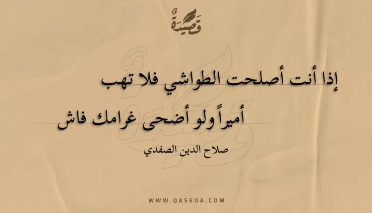 قصيدة إذا أنت أصلحت الطواشي فلا تهب
