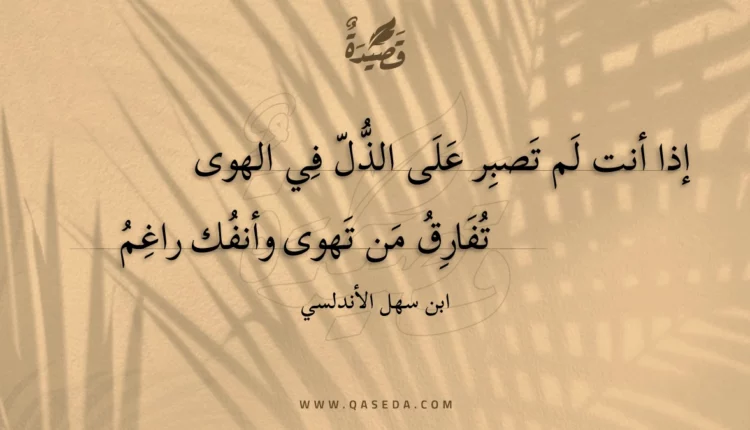 قصيدة إذا أنت لم تصبر على الذل في الهوى