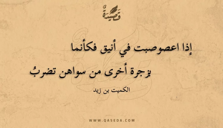 قصيدة إذا اعصوصبت في أنيق فكأنما