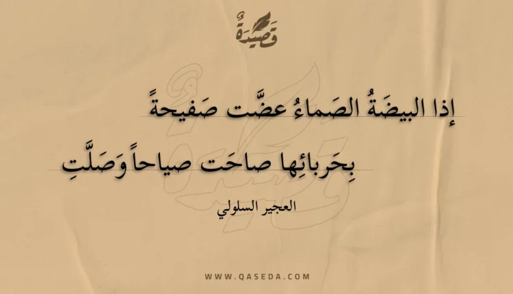 قصيدة إذا البيضة الصماء عضت صفيحة