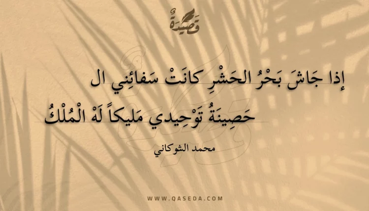 قصيدة إذا جاش بحر الحشر كانت سفائني