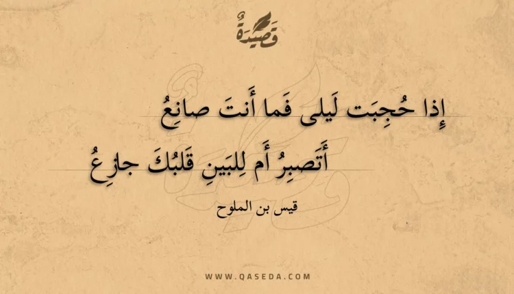 قصيدة إذا حجبت ليلى فما أنت صانع