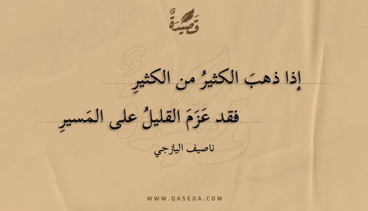 قصيدة إذا ذهب الكثير من الكثير