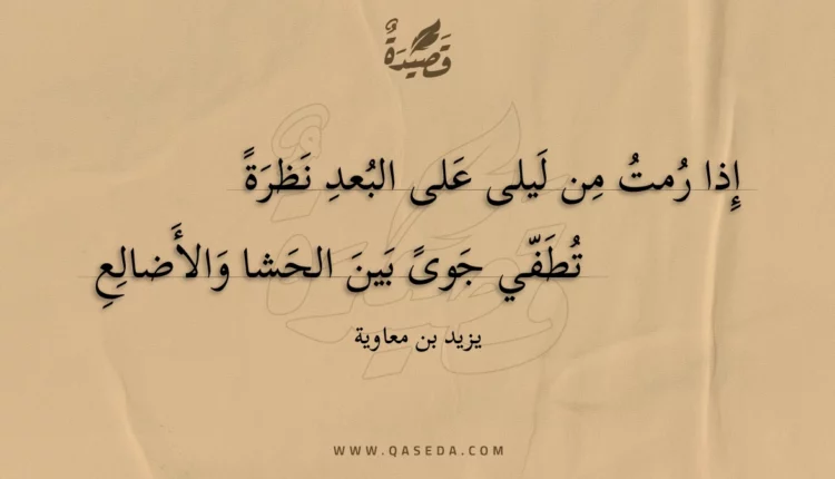 قصيدة إذا رمت من ليلى على البعد نظرة