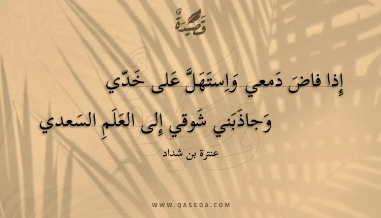 قصيدة إذا فاض دمعي واستهل على خدي