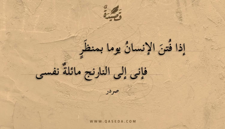قصيدة إذا فتن الإنسان يوما بمنظر
