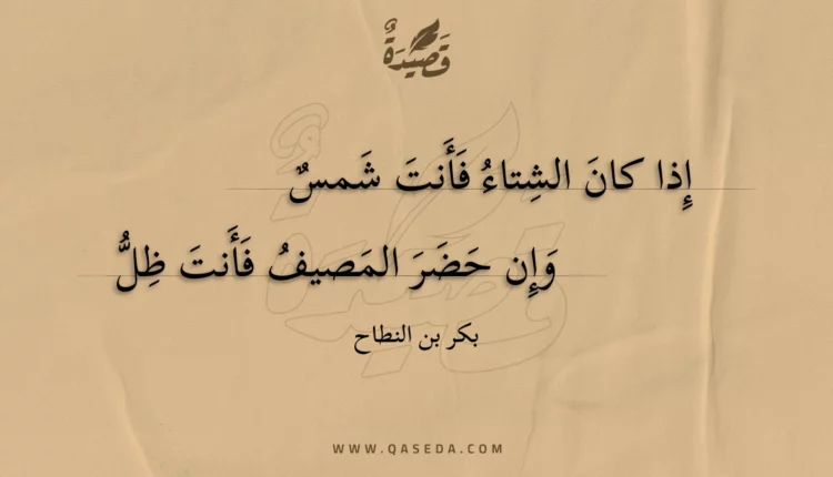 قصيدة إذا كان الشتاء فأنت شمس