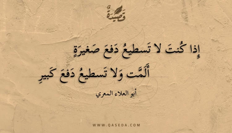قصيدة إذا كنت لا تسطيع دفع صغيرة