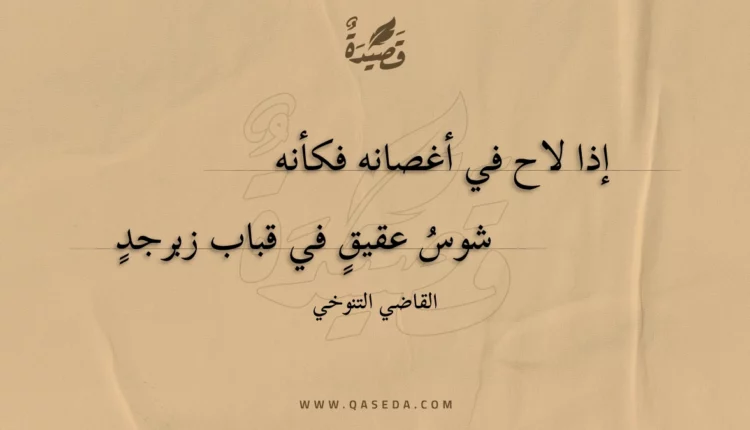 قصيدة إذا لاح في أغصانه فكأنه