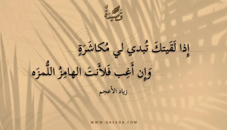 قصيدة إذا لقيتك تبدي لي مكاشرة