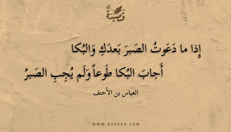 قصيدة إذا ما دعوت الصبر بعدك والبكا