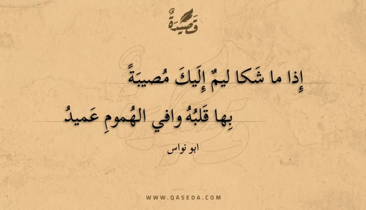 قصيدة إذا ما شكا ليم إليك مصيبة