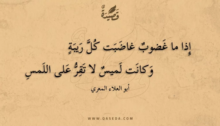 قصيدة إذا ما غضوب غاضبت كل ريبة