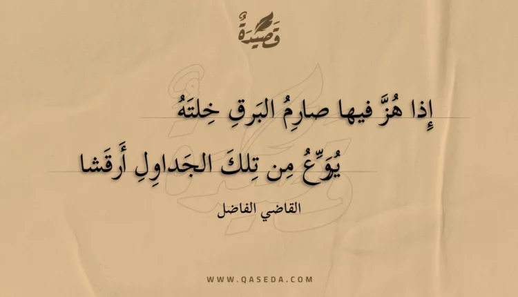 قصيدة إذا هز فيها صارم البرق خلته
