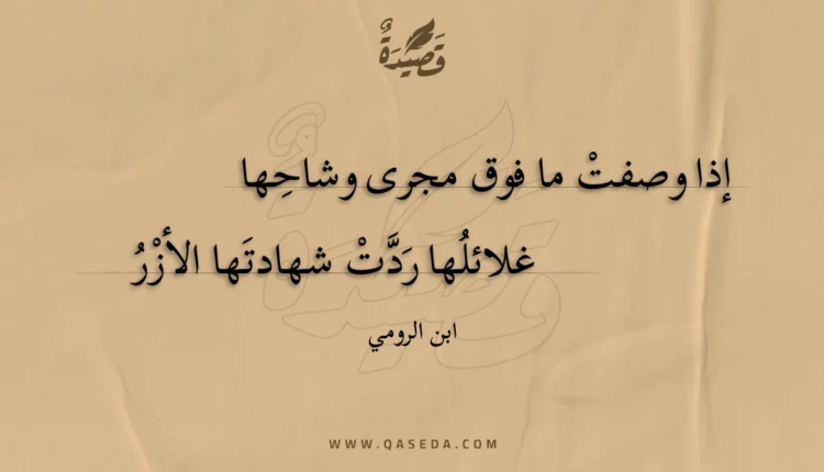 قصيدة إذا وصفت ما فوق مجرى وشاحها