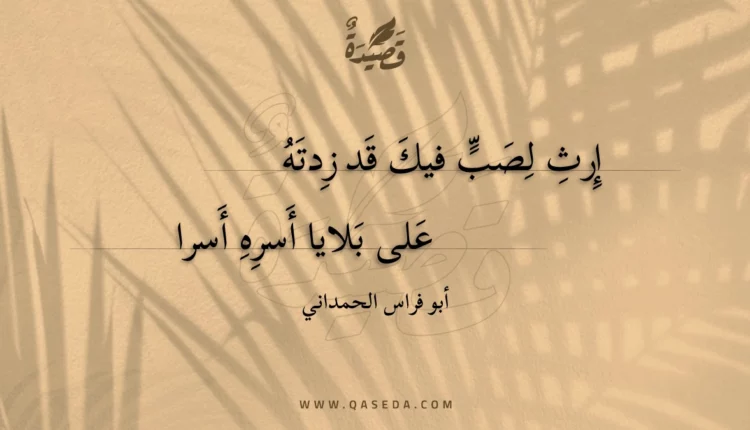 قصيدة إرث لصب فيك قد زدته