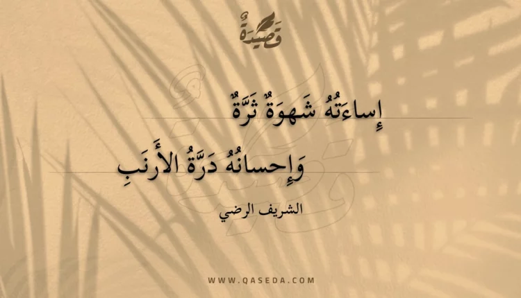 قصيدة إساءته شهوة ثرة
