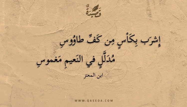 قصيدة إشرب بكأس من كف طاووس
