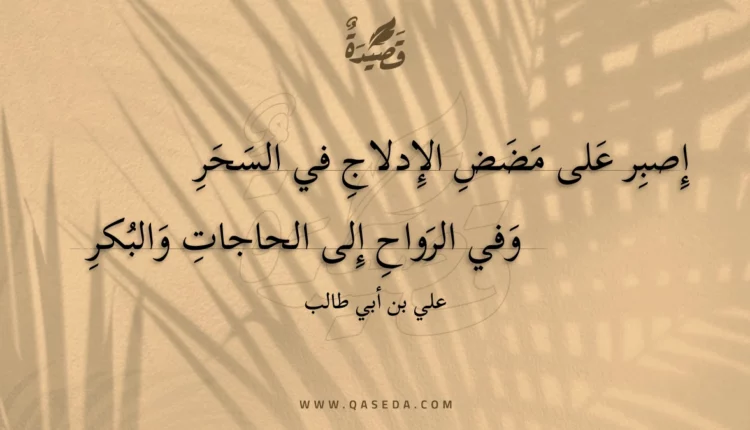 قصيدة إصبر على مضض الإدلاج في السحر
