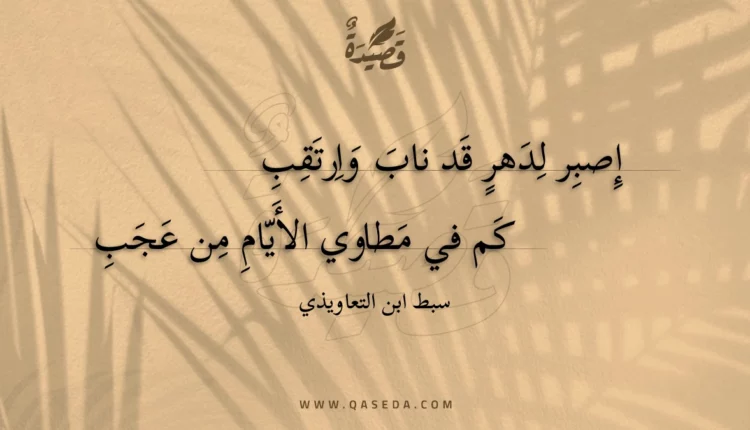 قصيدة إصبر لدهر قد ناب وارتقب