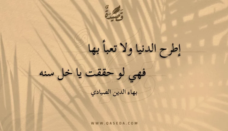 قصيدة إطرح الدنيا ولا تعبأ بها