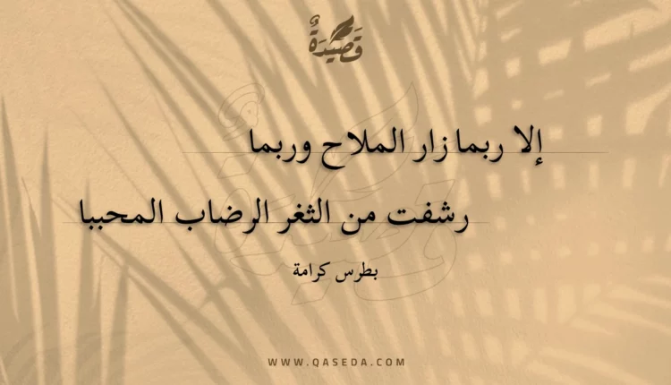 قصيدة إلا ربما زار الملاح وربما