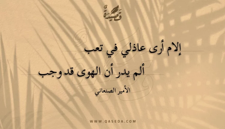 قصيدة إلام أرى عاذلي في تعب