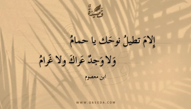 قصيدة إلام تطيل نوحك يا حمام