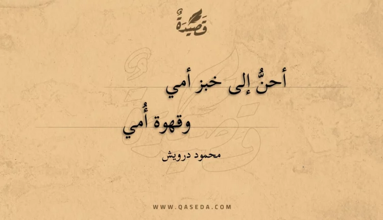 قصيدة إلى أمي