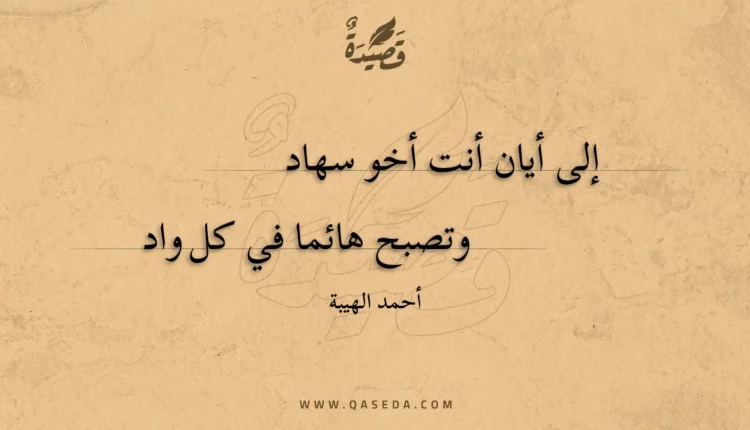 قصيدة إلى أيان أنت أخو سهاد