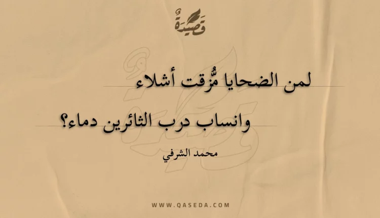 قصيدة إلى الثورة