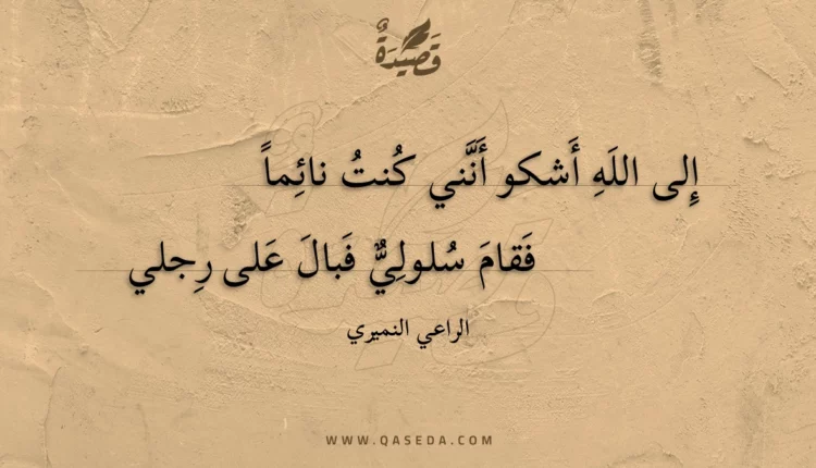 قصيدة إلى الله أشكو أنني كنت نائما