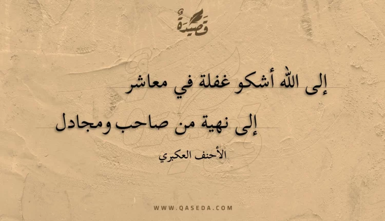 قصيدة إلى الله أشكو غفلة في معاشر