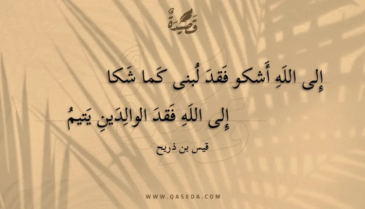 قصيدة إلى الله أشكو فقد لبنى كما شكا