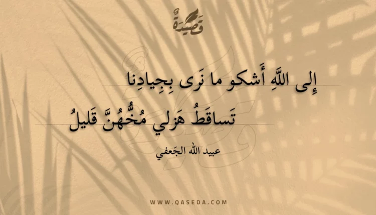قصيدة إلى الله أشكو ما نرى بجيادنا