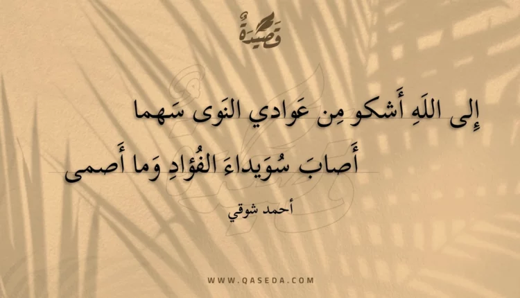 قصيدة إلى الله أشكو من عوادي النوى سهما