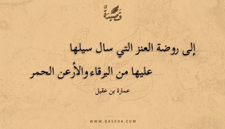 قصيدة إلى روضة العنز التي سال سيلها