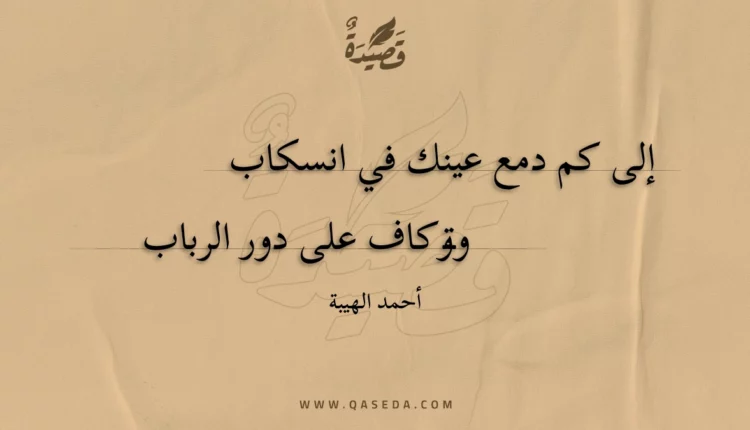 قصيدة إلى كم دمع عينك في انسكاب