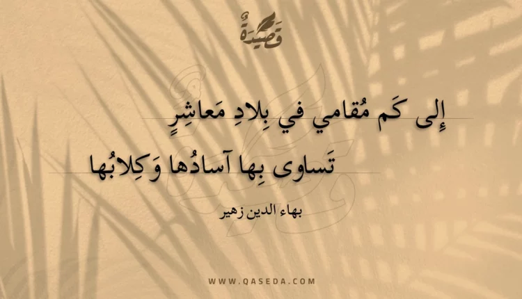 قصيدة إلى كم مقامي في بلاد معاشر