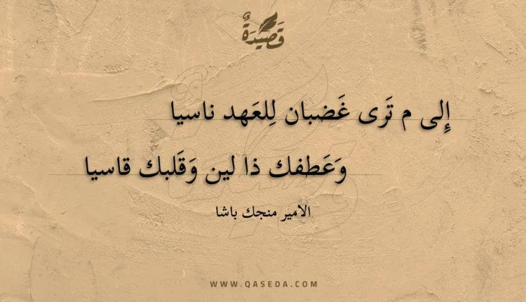 قصيدة إلى م ترى غضبان للعهد ناسيا