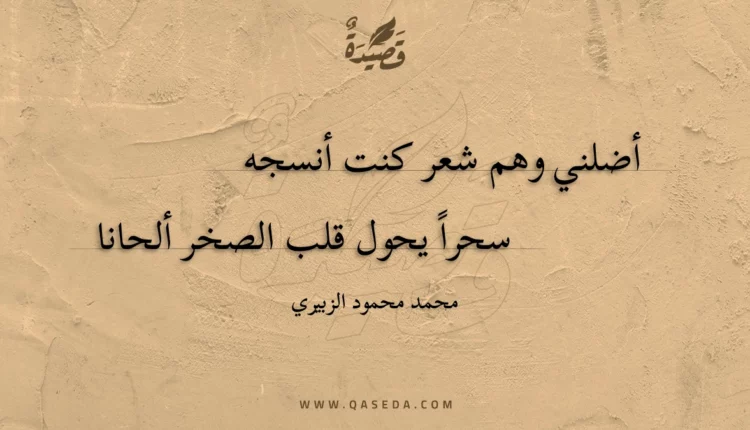 قصيدة إلي وطني