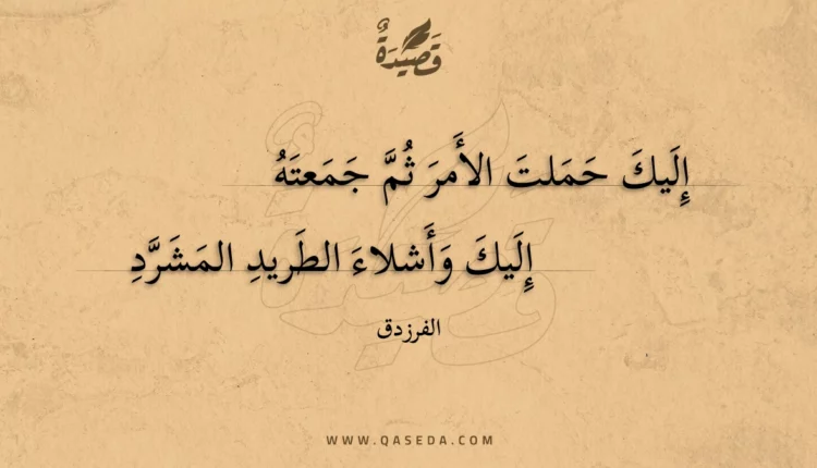 قصيدة إليك حملت الأمر ثم جمعته
