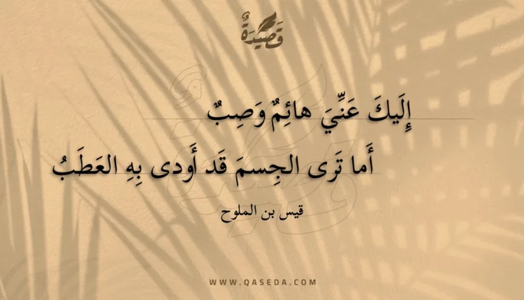 قصيدة إليك عني هائم وصب