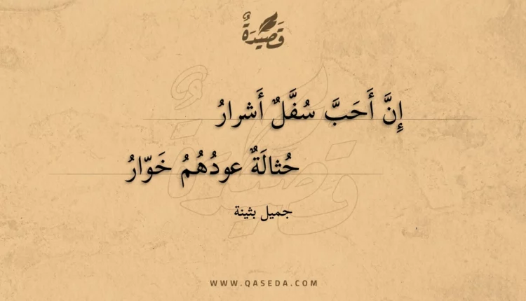 قصيدة إن أحب سفل أشرار