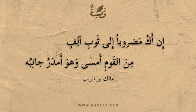 قصيدة إن أك مضروبا إلى ثوب آلف