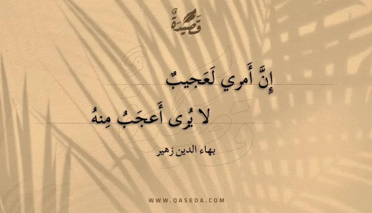 قصيدة إن أمري لعجيب