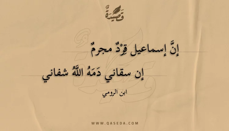 قصيدة إن إسماعيل قرد مجرم