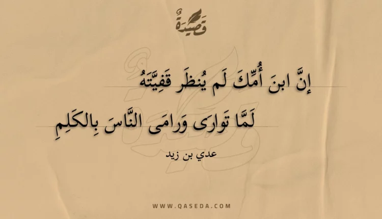 قصيدة إن ابن أمك لم ينظر قفيته