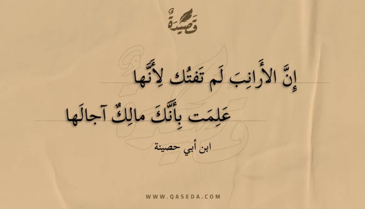 قصيدة إن الأرانب لم تفتك لأنها